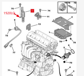 Wanautoparts Original brand new cylinder head solenoid valve VVT solenoid valve 1920LQ for Peugeot 307 308 408 508 3008 407 Citroen C4 C5