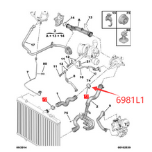 Load image into Gallery viewer, Wanautoparts оригинальный новый зажим для трубы охлаждения двигателя 6981L1 для Peugeot 207 307 308 408 508 3008 Citroen C3 C4 C5 DS4 DS5 