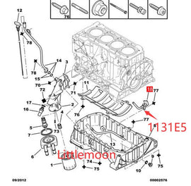 Wanautoparts Original new engine oil level sensor 1131E5 for Citroen C4 Picasso Xsara C5 Peugeot 206 307 407 2.0